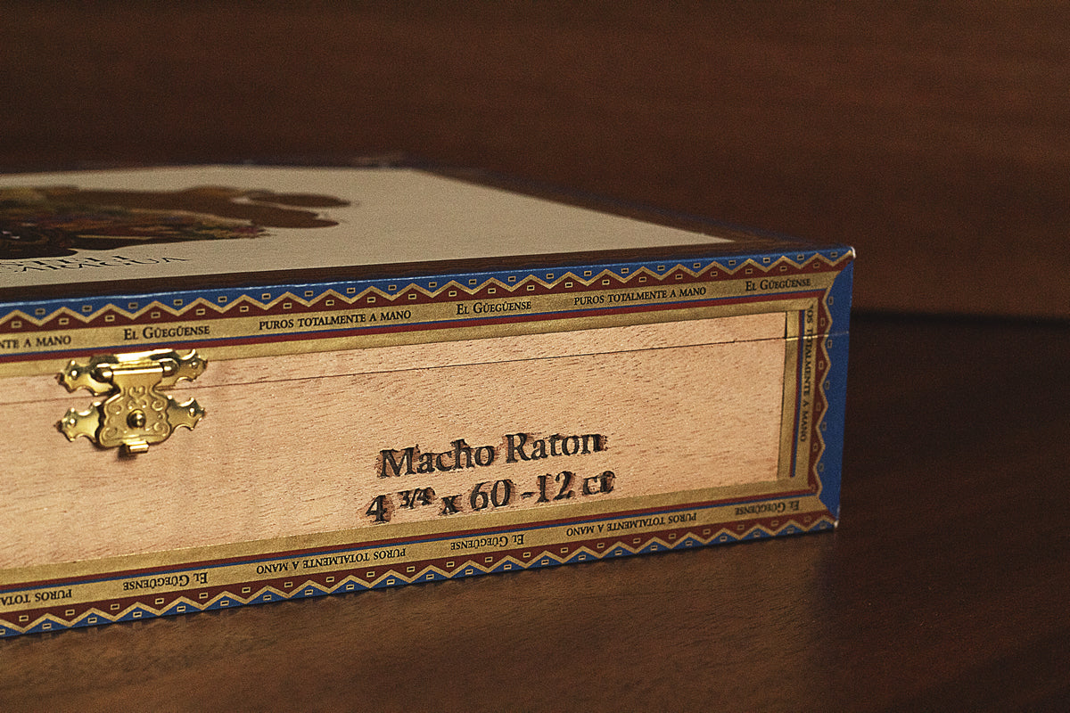foundation macho raton